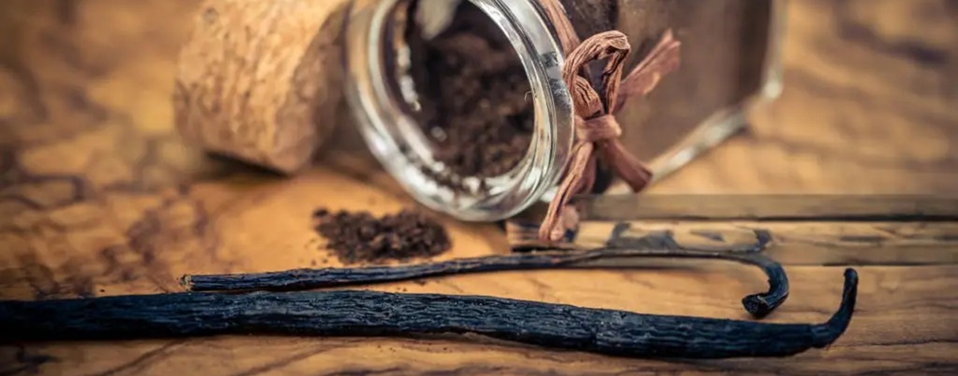 Detailaufnahme von Vanilleschoten